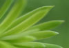 Jen's Therapies image